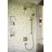 Душевая лейка Hansgrohe Raindance Select S 120 3jet 26530140 шлифованная бронза