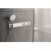 Душевая лейка Hansgrohe Raindance Select S 120 3jet EcoSmart 26531000 хром