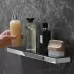Полка Hansgrohe Rainfinity 500 26844000 хром