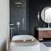 Душевая лейка Hansgrohe Rainfinity 1jet Brushed 26866140 бронза матовый