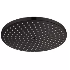 Верхний душ Hansgrohe Raindance S 2..