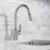 Смеситель для кухни Hansgrohe Focus M42 220 2jet 71800000 хром 