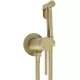 Смеситель с гигиенической лейкой Rea Foss Clif Brush Gold REA-B5844 матовое золото