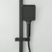 Душевая система Frap F2491-6 черный