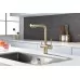 Смеситель для кухни под фильтр Paulmark Serpentine Se213222-LG светлое золото