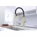 Смеситель для кухни под фильтр Paulmark Ganymede Diamond Gd613199-LG светлое золото