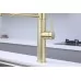 Смеситель для кухни под фильтр Paulmark Ganymede Diamond Gd613199-LG светлое золото