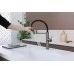 Смеситель для кухни под фильтр Paulmark Ganymede Diamond Gd613199-GM вороненая сталь