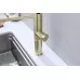 Смеситель для кухни под фильтр Paulmark Ganymede Ga213199-LG светлое золото