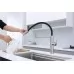 Смеситель для кухни под фильтр Paulmark Ganymede Ga213199-BS брашированная сталь