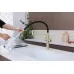 Смеситель для кухни под фильтр Paulmark Nexus Diamond Nd613999-LG светлое золото