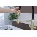 Смеситель для кухни под фильтр Paulmark Nexus Diamond Nd613999-LG светлое золото