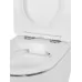 Унитаз Amore di Mare Delio P203LS 36x49 сиденье дюропласт, микролифт, белый с серебром (подвесной)
