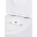 Унитаз Amore di Mare Delio Tornado Bidet P203X 36x49 с функцией биде, сиденье дюропласт, микролифт, белый (подвесной)