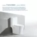 Унитаз Amore di Mare Tronto Bidet N900-X 36,5x65 с функцией биде, сиденье Duroplast, микролифт, белый (напольный)