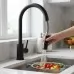 Смеситель для кухни Rea Fresh Touch Black REA-B6734 черный