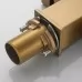 Смеситель для кухни под фильтр Shevanik S148G золотой сатин