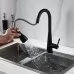 Смеситель для кухни Shevanik S363H черный