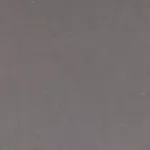 Leningrad Grey