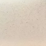 Слоновая кость